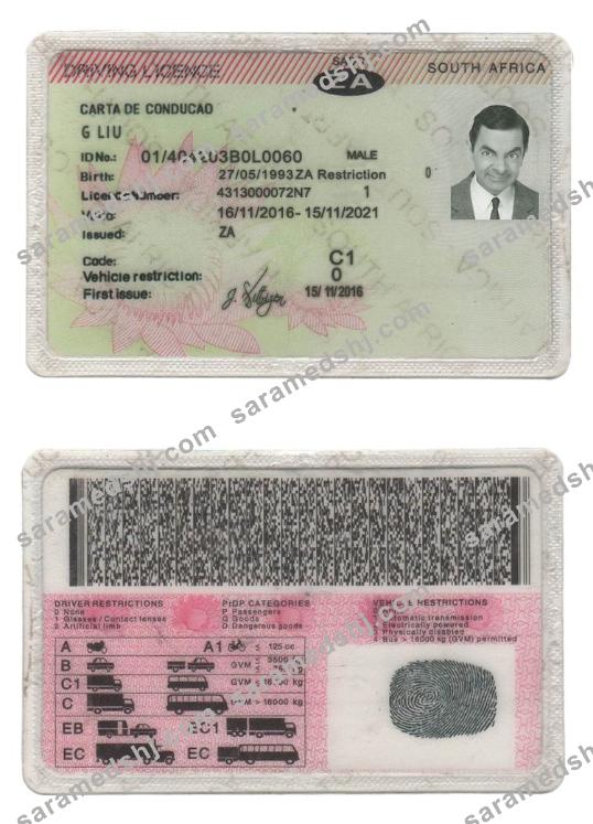 South Africa driving license